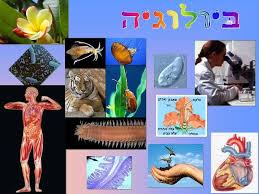 מגמת ביולוגיה