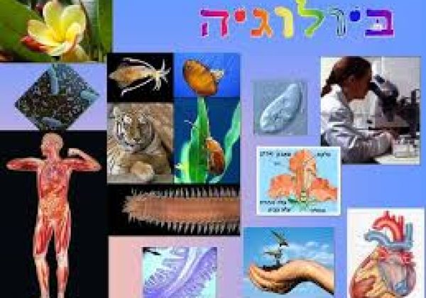 מגמת ביולוגיה